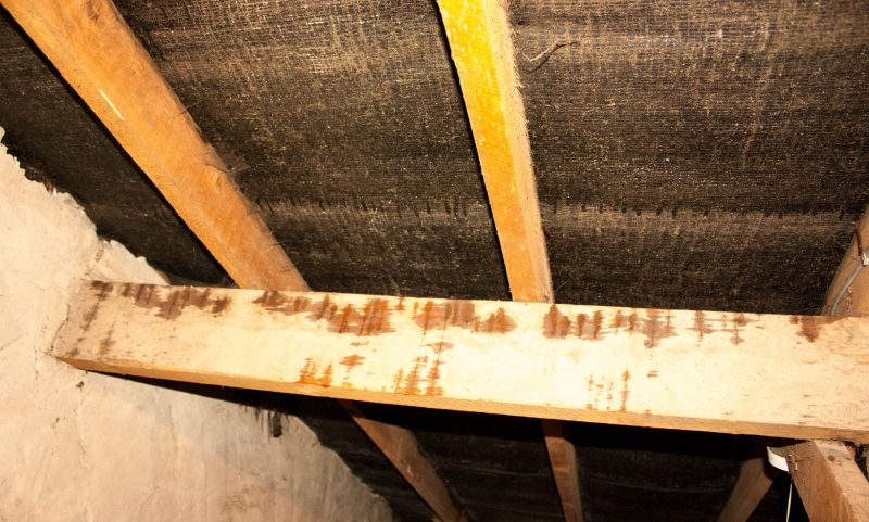 Ceiling Leak Repair Service in Summerville, SC